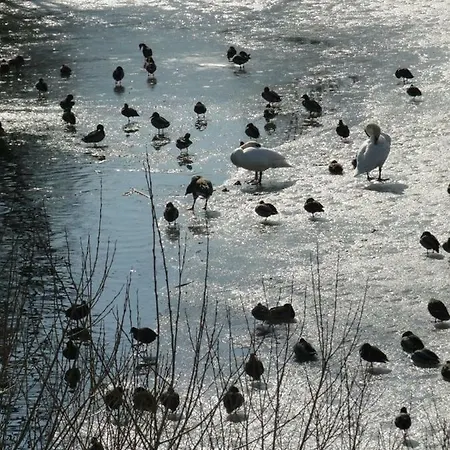 In Seenahe Badesee Ehmetsklinge