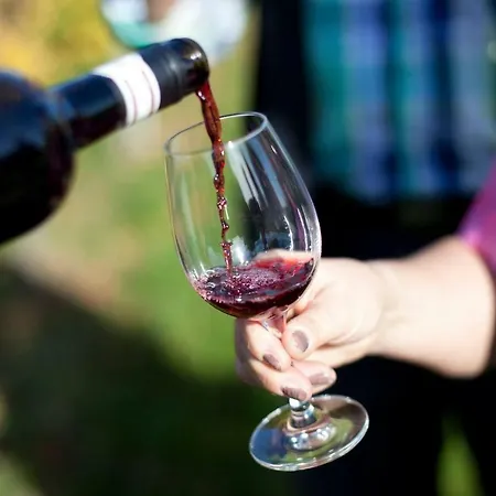 In Seenahe Badesee Ehmetsklinge Appartement Zaberfeld