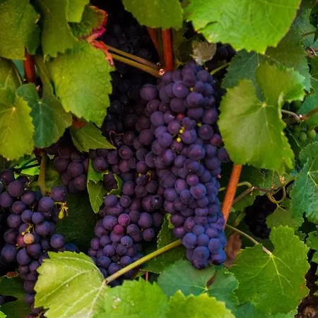 In Seenahe Badesee Ehmetsklinge Zaberfeld