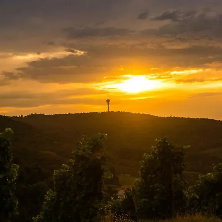 In Seenahe Badesee Ehmetsklinge Zaberfeld