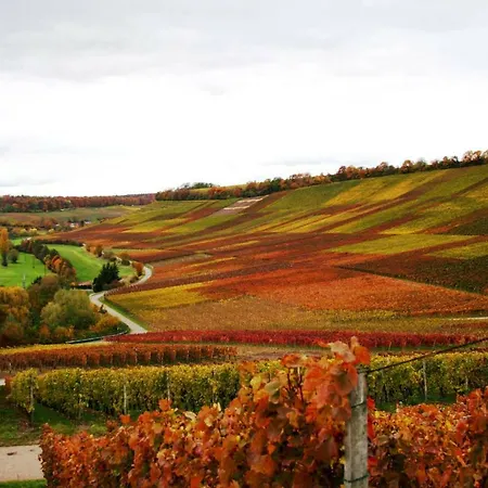 In Seenahe Badesee Ehmetsklinge *