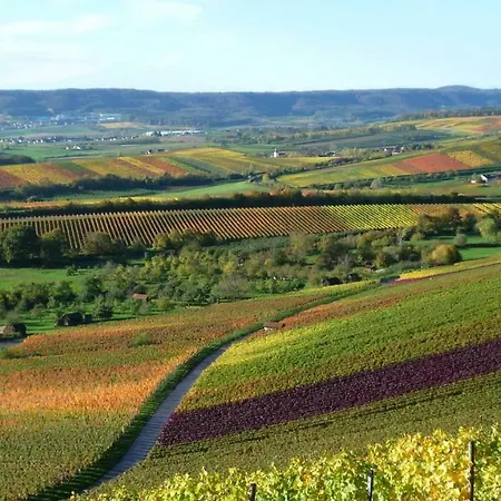 Appartement In Seenahe Badesee Ehmetsklinge