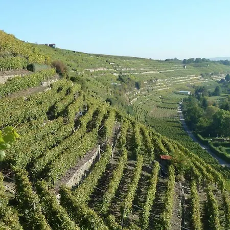 In Seenahe Badesee Ehmetsklinge Zaberfeld