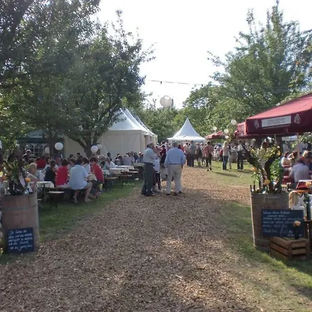 Appartement In Seenahe Badesee Ehmetsklinge