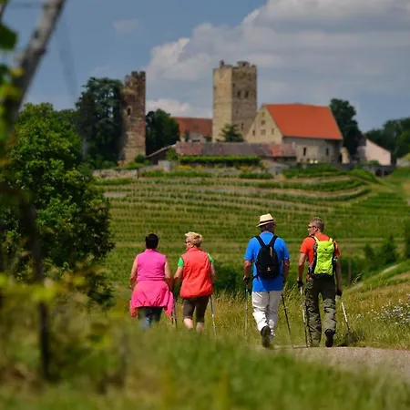 Daire In Seenahe Badesee Ehmetsklinge Zaberfeld